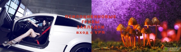 мяу мяу мука Алексеевка
