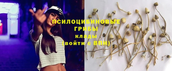 таблы Алзамай