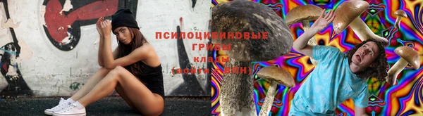 каннабис Нефтекумск