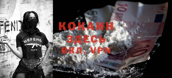 тгк Алексин