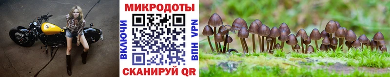 наркота  Себеж  МЕГА зеркало  Галлюциногенные грибы Magic Shrooms 